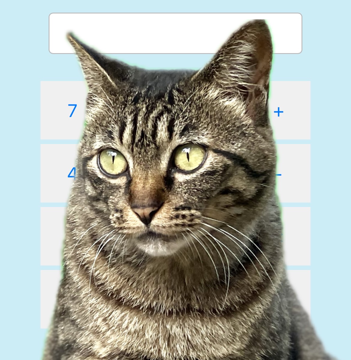 電卓の画像(猫)